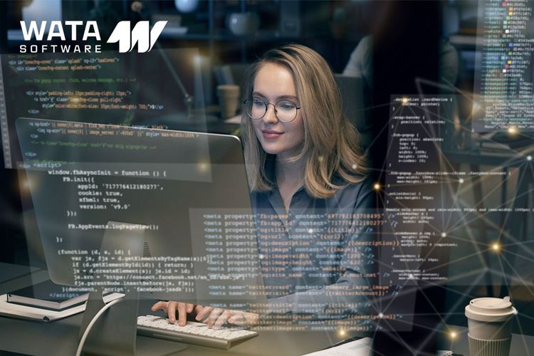 What is Offshore Software Services?